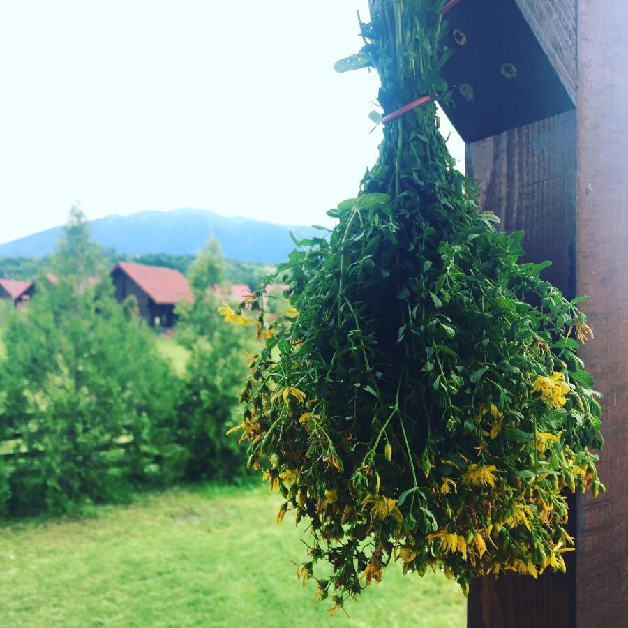 Bran White Clouds House And Chalet エクステリア 写真