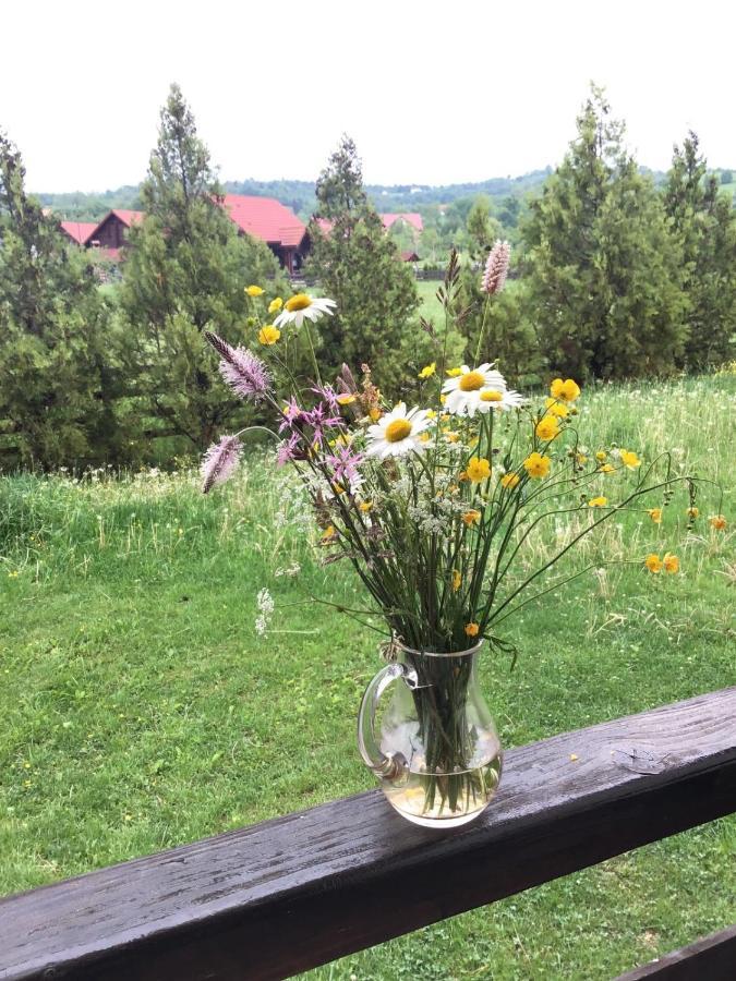 Bran White Clouds House And Chalet エクステリア 写真