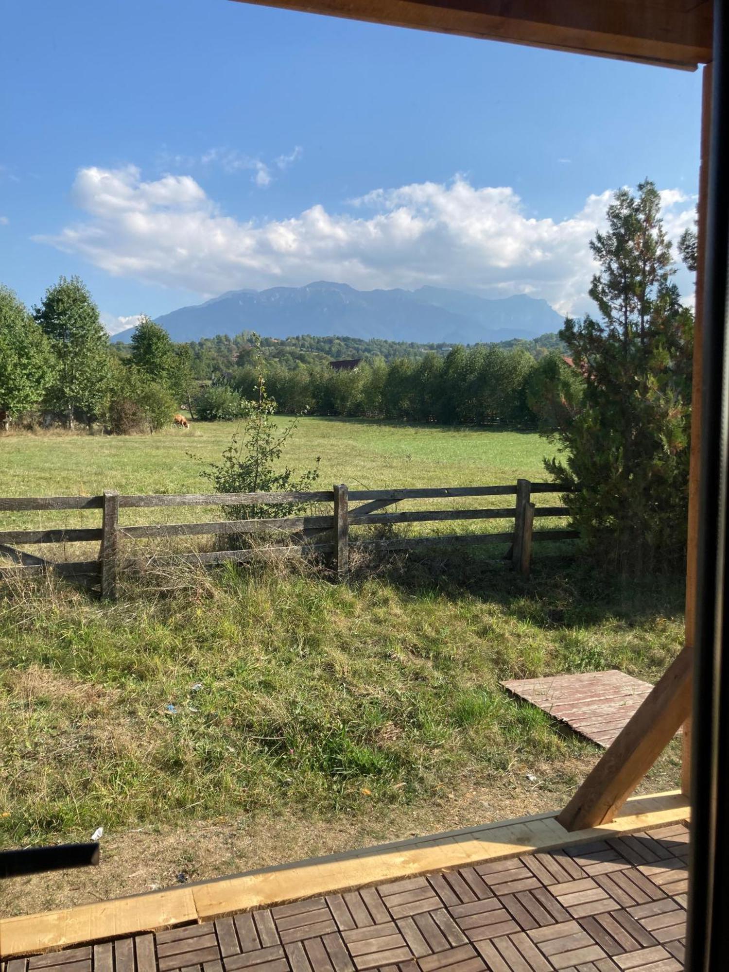 Bran White Clouds House And Chalet エクステリア 写真