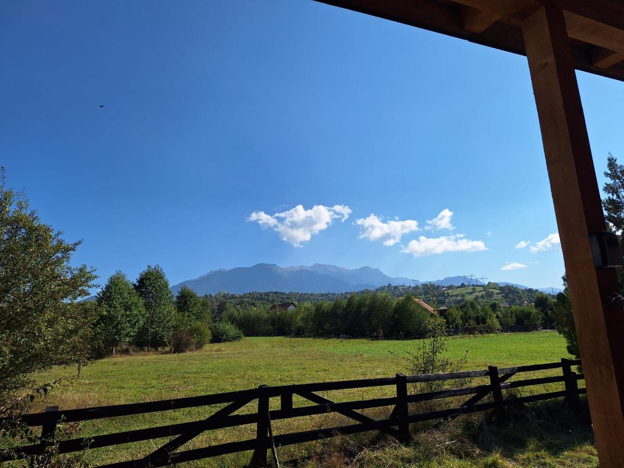 Bran White Clouds House And Chalet エクステリア 写真