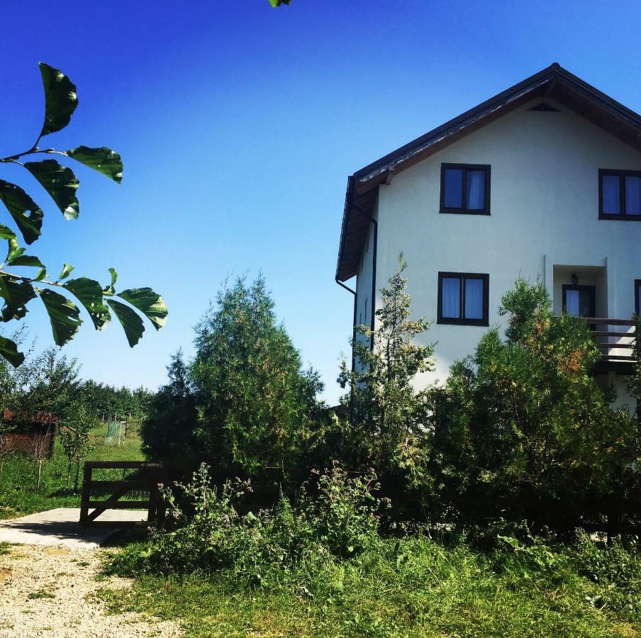 Bran White Clouds House And Chalet エクステリア 写真