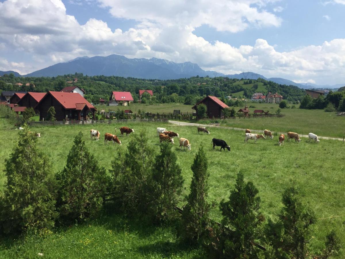 Bran White Clouds House And Chalet エクステリア 写真