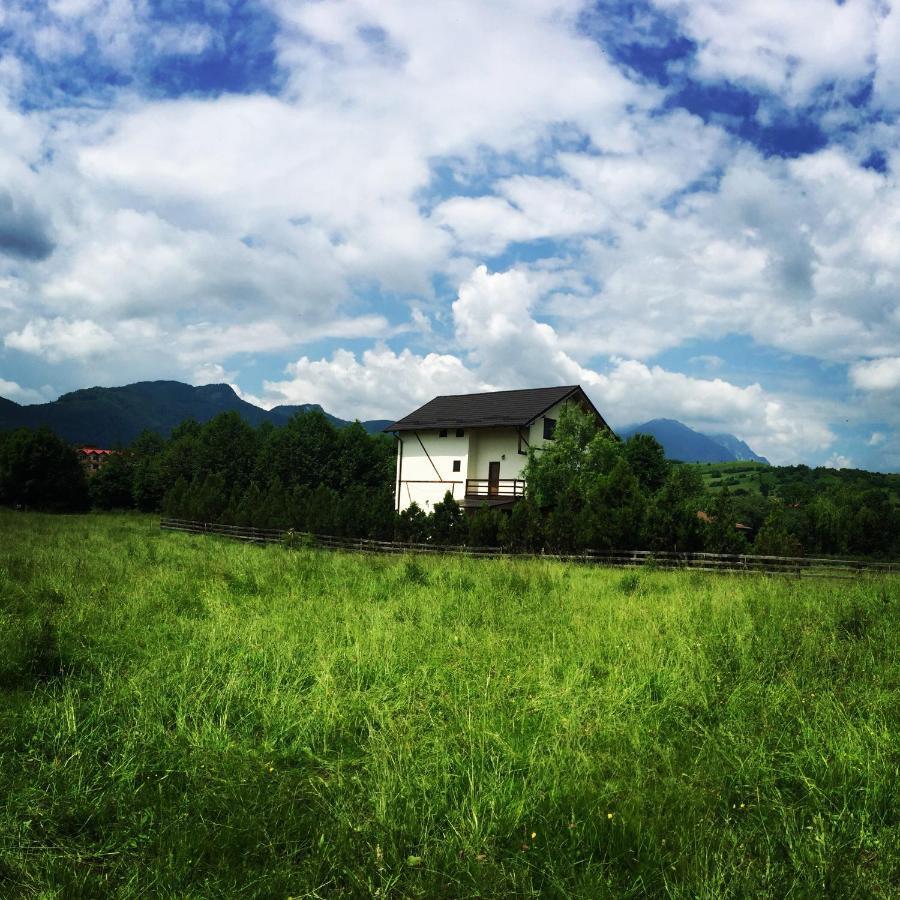 Bran White Clouds House And Chalet エクステリア 写真